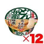 日清 どん兵衛 特盛 きつねうどん 12個