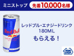 RedBull レッドブル エナジードリンク 180ml