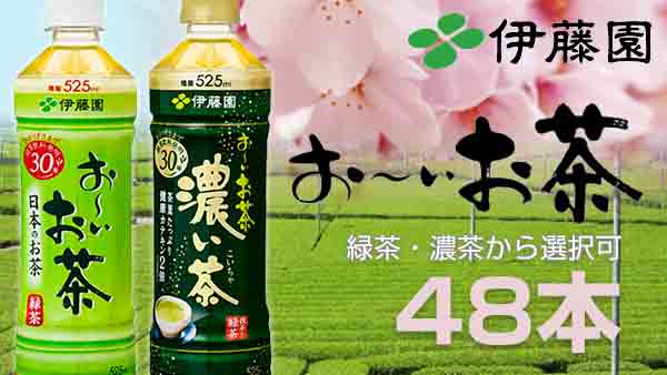 CoCo壱番屋監修 カレーまん 6個入×9袋(計54個)
