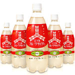 Asahi 三ツ矢フルーツサイダー アップル 500ml PET×24本