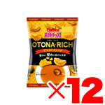 ポテトチップス オトナリッチ ビストロコンソメ