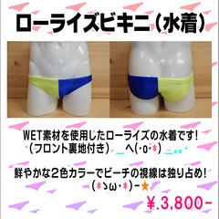 ローライズビキニ(水着)
