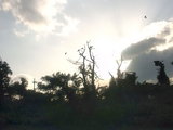 ����