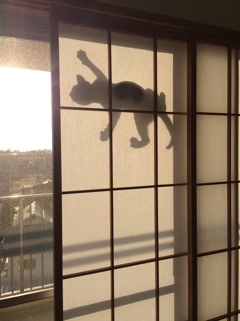 笑っちゃう画像18