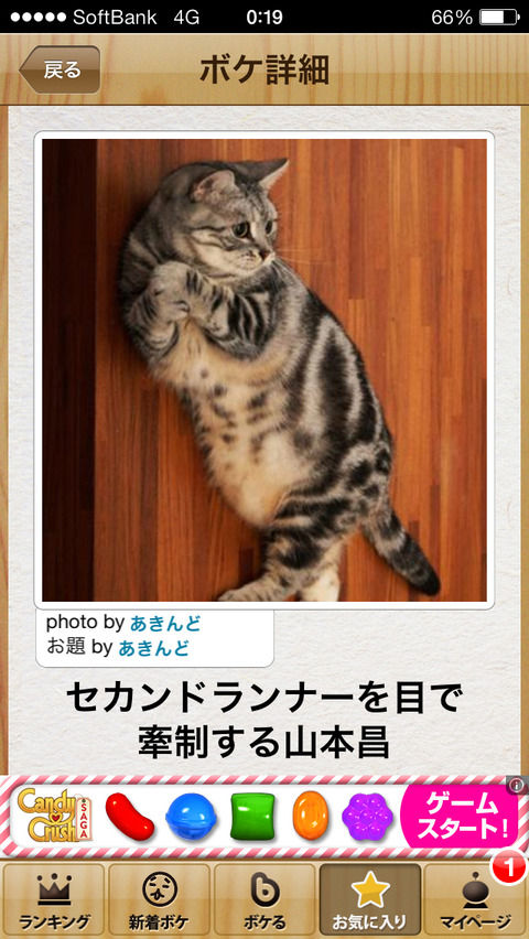 画像で笑ったら寝ろ13