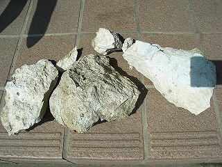 510320bf.jpg