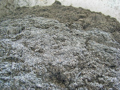 55e7a043.jpg