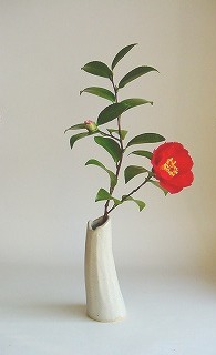 63117da6.jpg