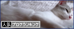 banner(2)