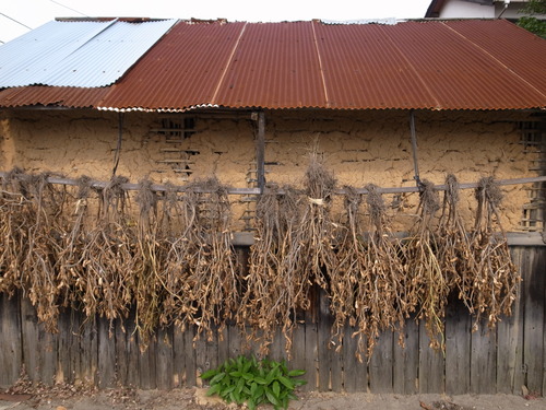 R0011627