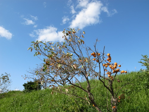 R0013669