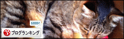 banner(1)