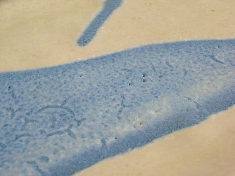 s-RIMG0001