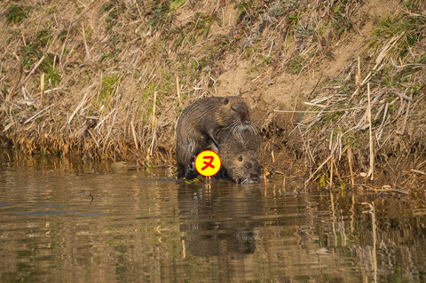 c1c42accafb809af0d9dad8b61e05795