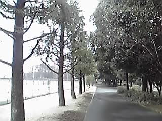 406196c8.jpg