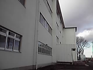 b676b07e.jpg