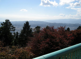 tanzawa