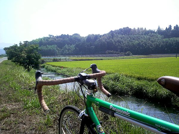 甲佐町