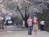 平成17年