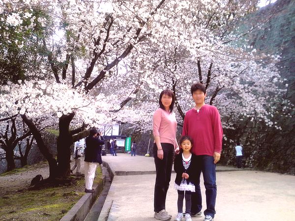 サクラ2009