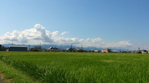 2012summer