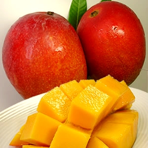 ���餯�����ܤ��Ӹ��ռ����Ƥ��ޤ�