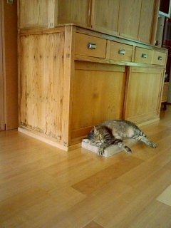 ��ˤΥҥޥ˥���