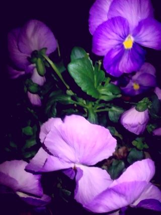 ¾å½ñ¤¤µ¤ì¤¿¤¯¤Ê¤¤
