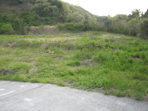 幸崎売地3