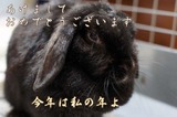 �⥳����ǯ�ΰ���