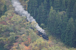 s-20151031_OM-D_PA313028