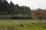 s-20151029_OM-D_PA292854