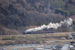 s-2014_01_11IMG_3530