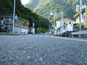山へ向かう道