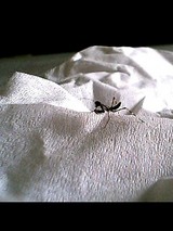 cf7499d7.jpg