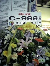 fb129d55.jpg