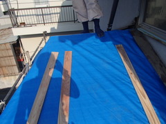 P7144430