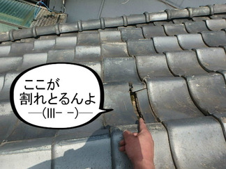 BlogPaint