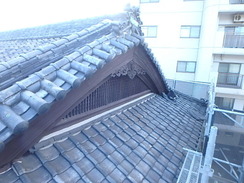 P8170052