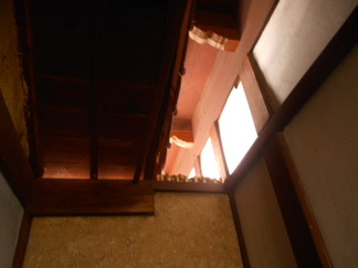 DSCN1726