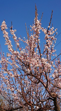 _20190305_203302