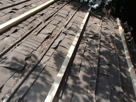 P6143530
