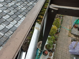 P2150009