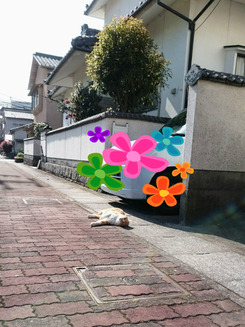 BlogPaint