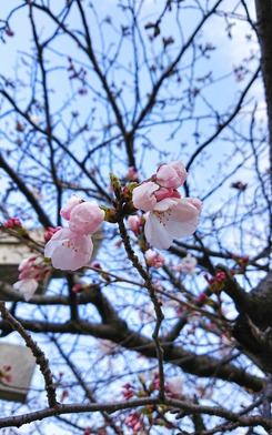 _20190401_094213
