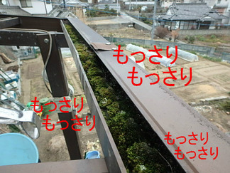 BlogPaint
