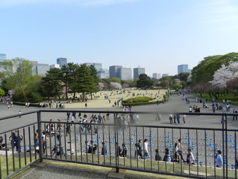 DSCN6663