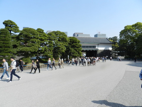 DSCN6641