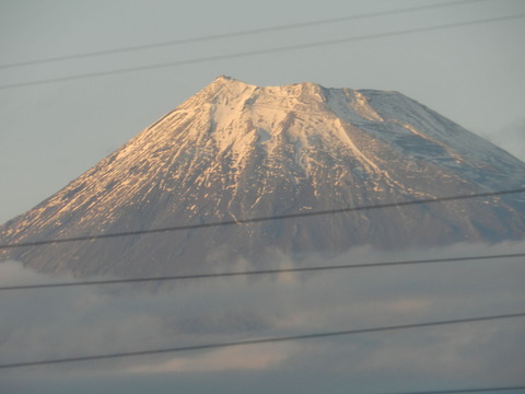 DSCN7405