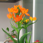 5313b